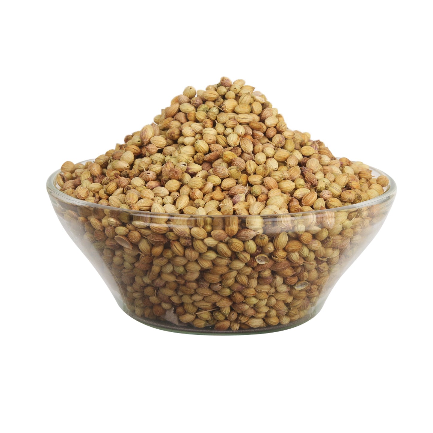 Coriander Seeds